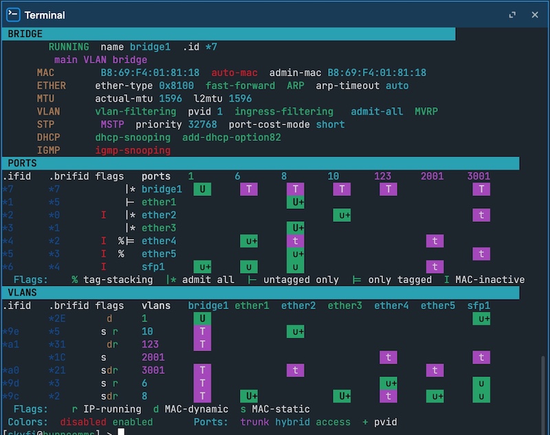 $lsbridge output showing bridge VLAN visualization